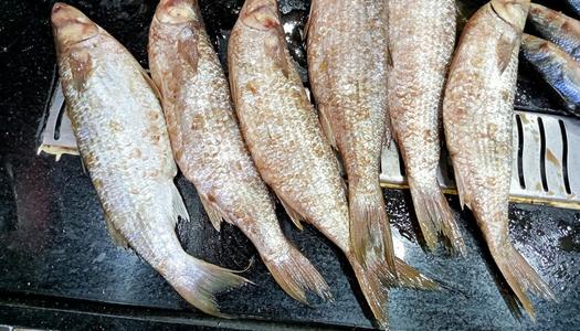 اعراض تسمم الرنجة والفسيخ2